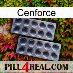 Cenforce 31